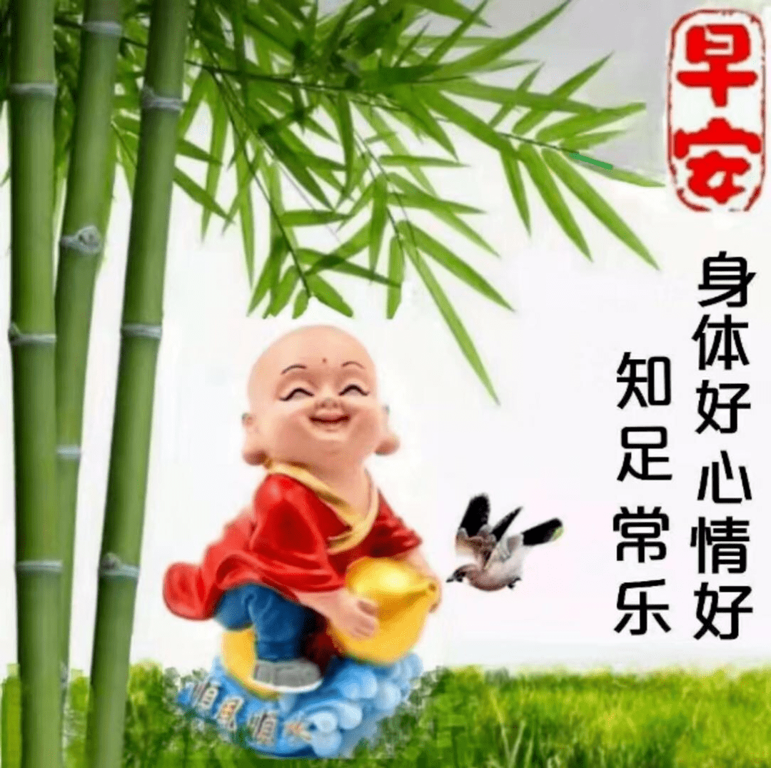眼高于顶无尽处知足常乐包容心猜一生肖与警惕虚假宣传-全面释义、精准解答解释落实