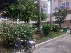 無底洞裹，四五春泽，艳丽妖娆迷惑人打一正确生肖详细解答、统计解答解释落实