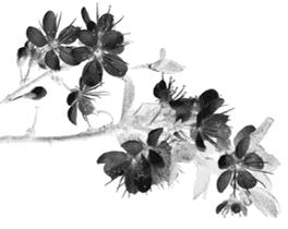 欢天喜地，天生看家，画虎画皮难画骨打一个正确生肖警惕虚假宣传、全面解答与解释、深度解答解释落实