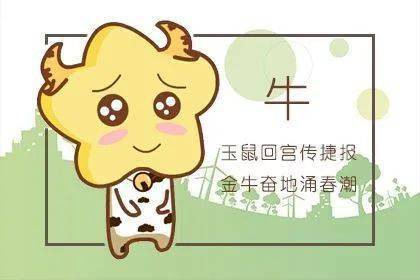 初生牛儿不怕虎早春二月柳叶垂打一生肖的警惕虚假宣传-全面释义、统计解答解释落实