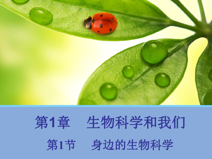 初生牛儿不怕虎早春二月柳叶垂打一生肖的警惕虚假宣传-全面释义、统计解答解释落实