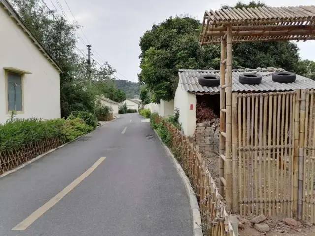 谢墅庾村相吊后打生肖,警惕虚假宣传、全面解答、综合解答解释落实
